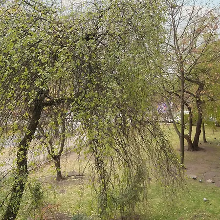 Beautiful For 4 People By Renters Wroclaw